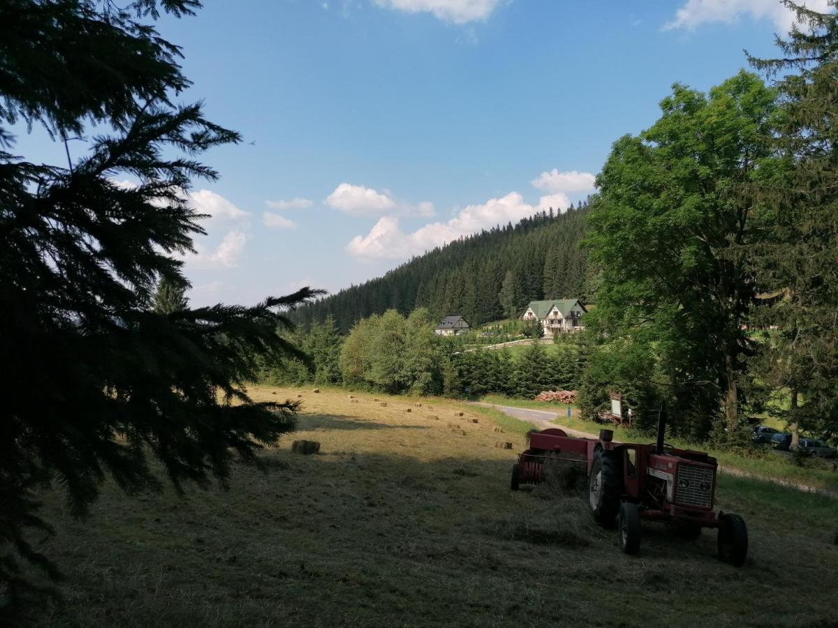 Gosciniec Janowa Gora - Agroturystyka Stronie Śląskie Eksteriør billede