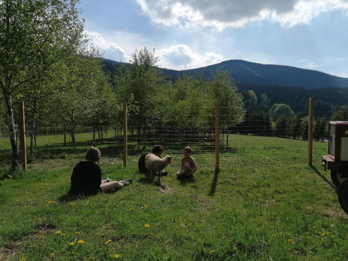 Gosciniec Janowa Gora - Agroturystyka Stronie Śląskie Eksteriør billede