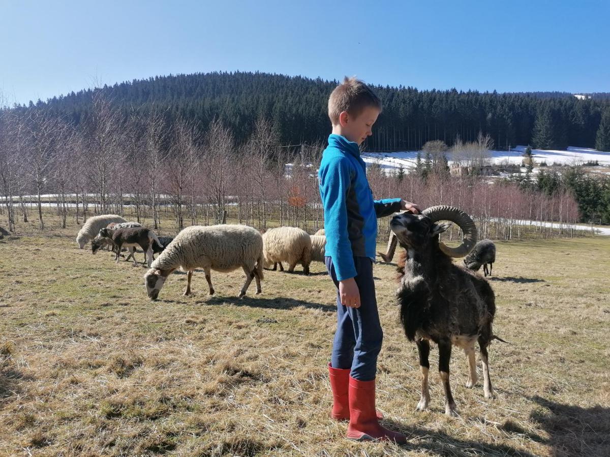 Gosciniec Janowa Gora - Agroturystyka Stronie Śląskie Eksteriør billede